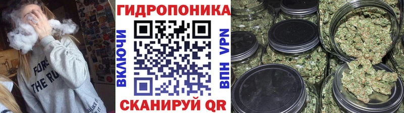 Сколько стоит Ивангород A PVP  ГАШ  Амфетамин  Кокаин  Каннабис 