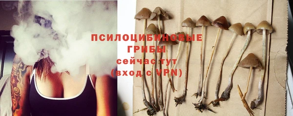 apvp Верея