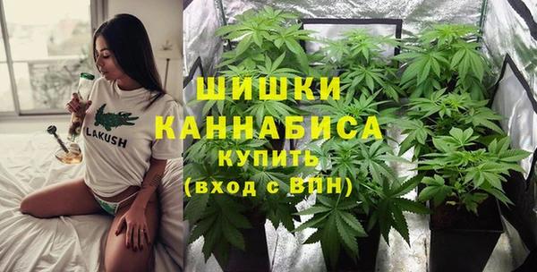 apvp Верея
