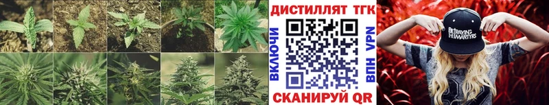 ТГК концентрат  где продают наркотики  Ивангород 