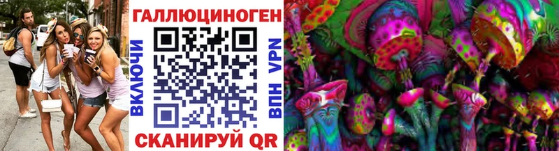 Галлюциногенные грибы Psilocybe  Ивангород 
